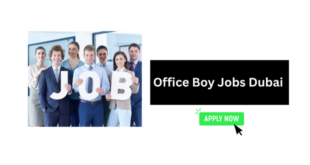 Office Boy Jobs Dubai 2026