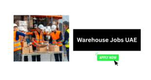 Warehouse Jobs UAE
