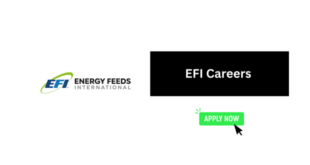 EFI Careers 2026